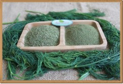 Toptan Kurutulmuş Dereotu - 1 kg