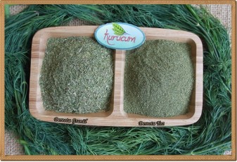 Toptan Kurutulmuş Dereotu - 1 kg