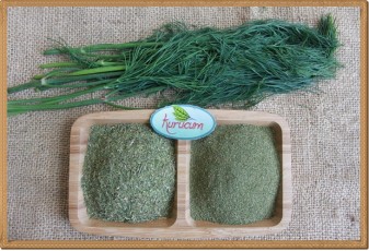 Toptan Kurutulmuş Dereotu - 1 kg