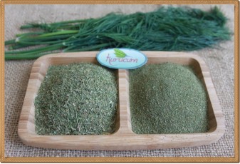 Toptan Kurutulmuş Dereotu - 1 kg