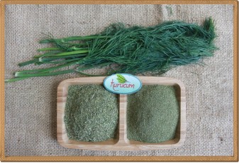 Toptan Kurutulmuş Dereotu - 1 kg