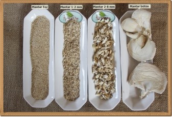 Toptan İstiridye Mantar Tozu- 1 kg 