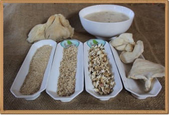Toptan İstiridye Mantar Tozu- 1 kg 