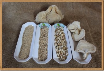 Toptan İstiridye Mantar Tozu- 1 kg 
