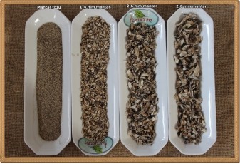 Toptan Kültür mantarı Tozu- 1 kg