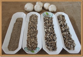 Toptan Kültür mantarı Tozu- 1 kg