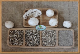 Toptan Kültür mantarı Tozu- 1 kg